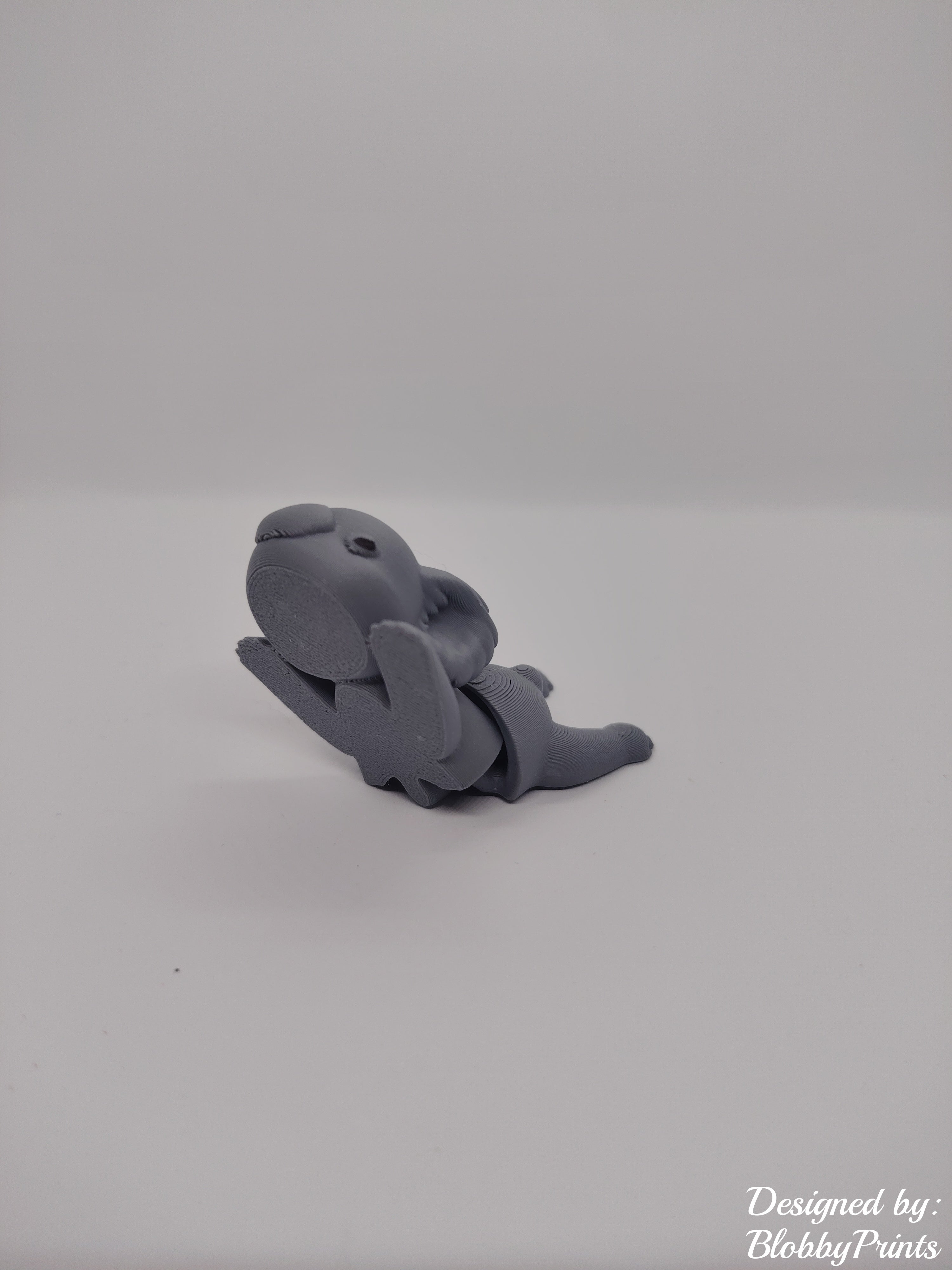 Flexi koala