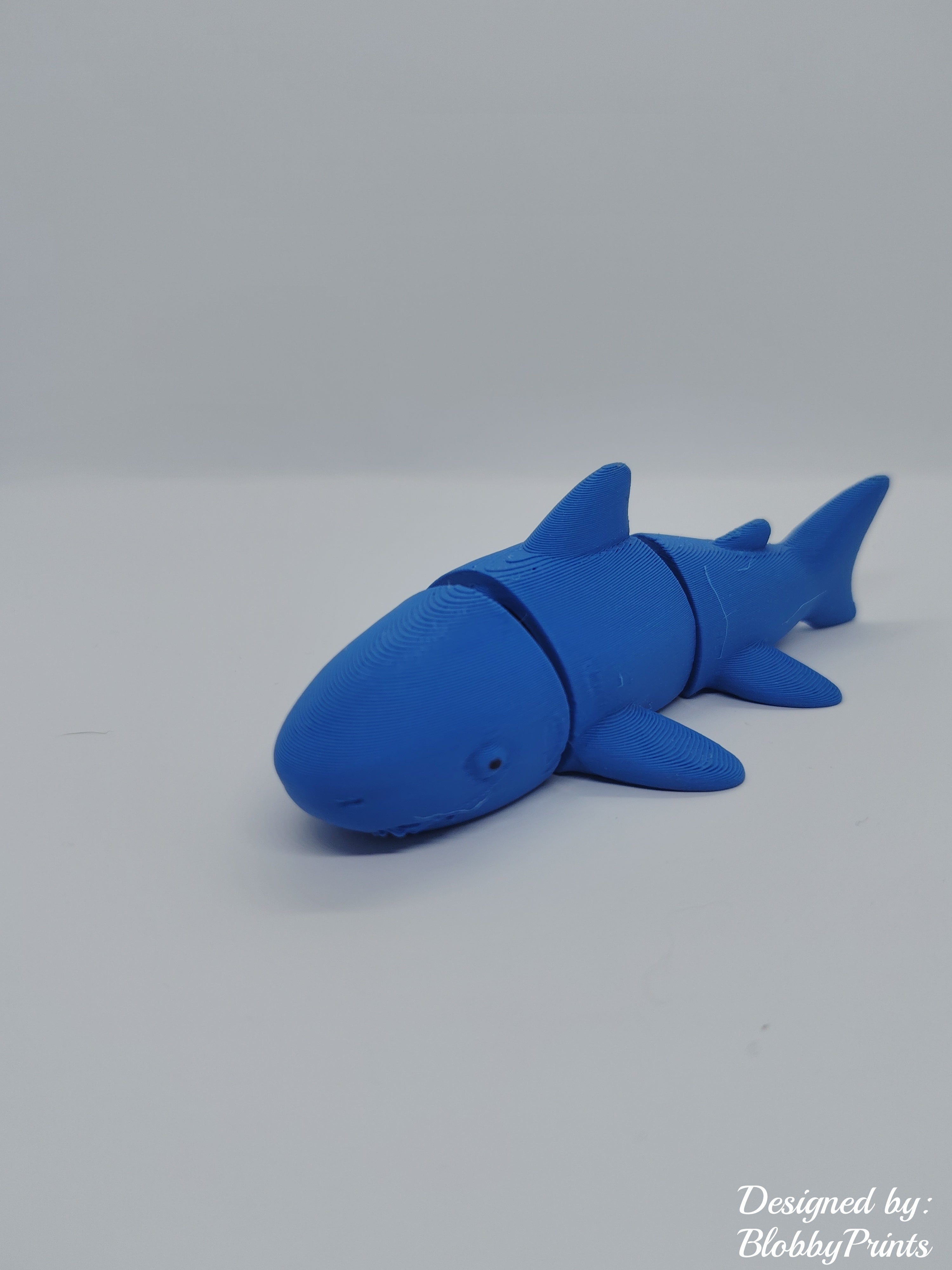 flexi shark