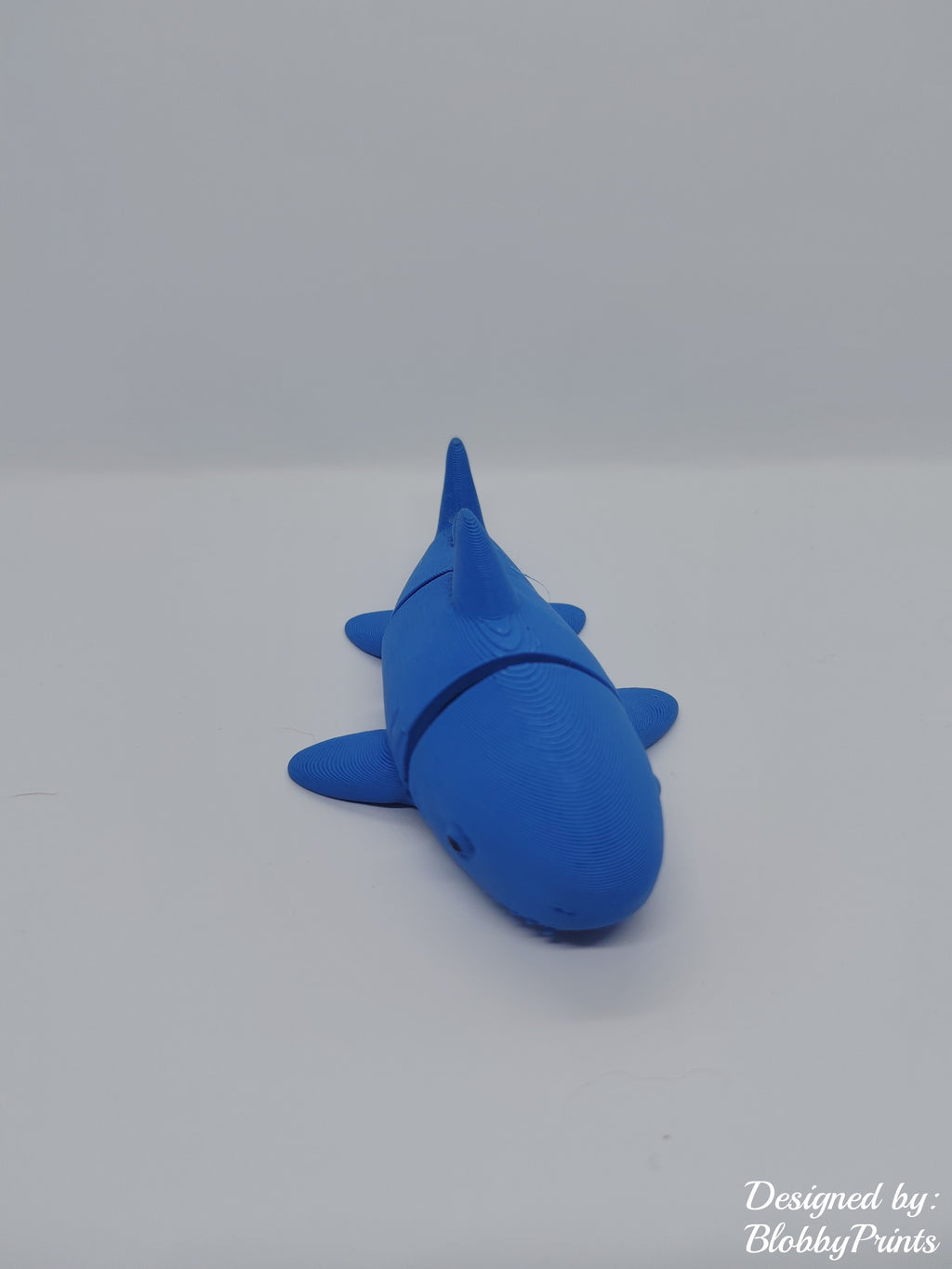 flexi shark