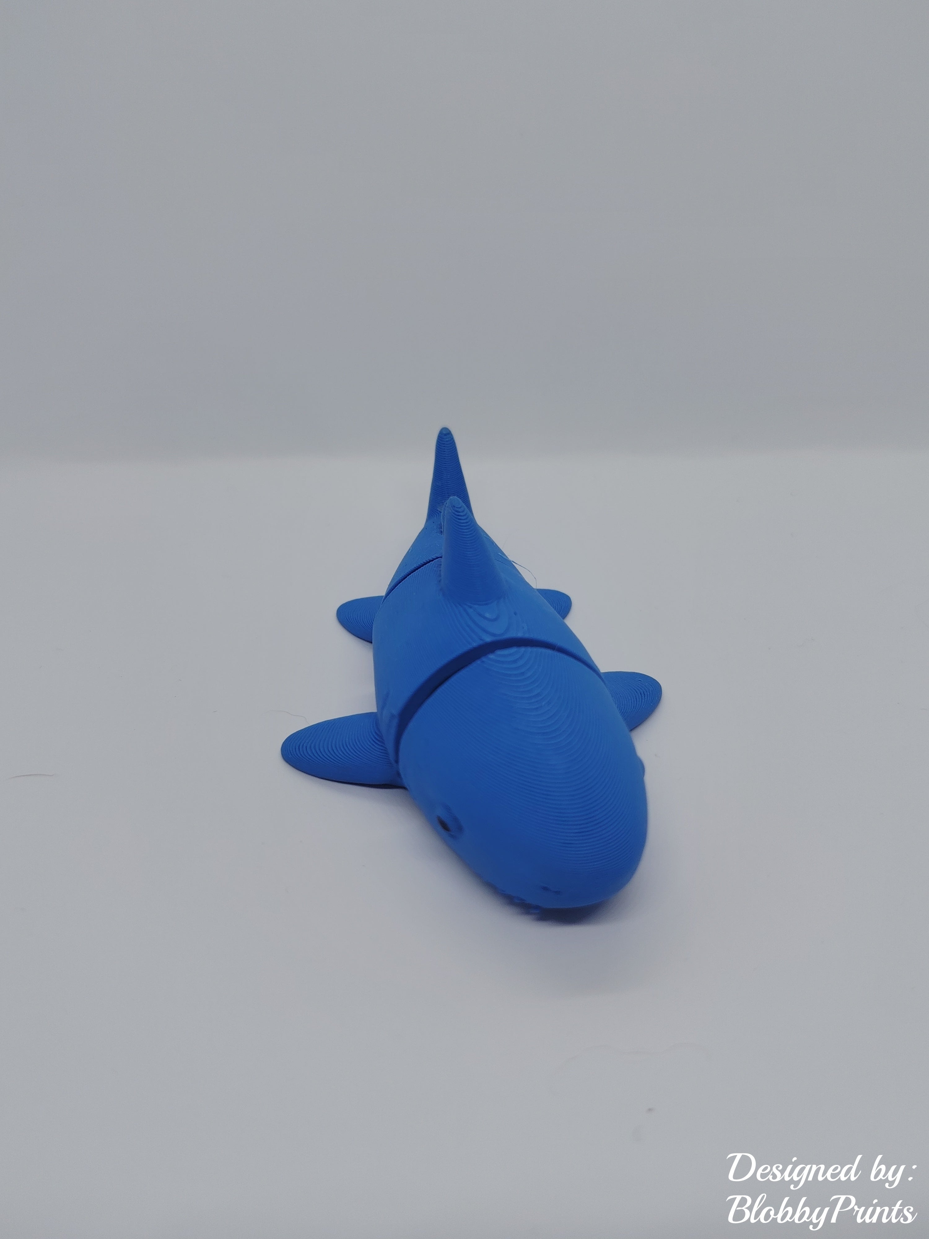 flexi shark
