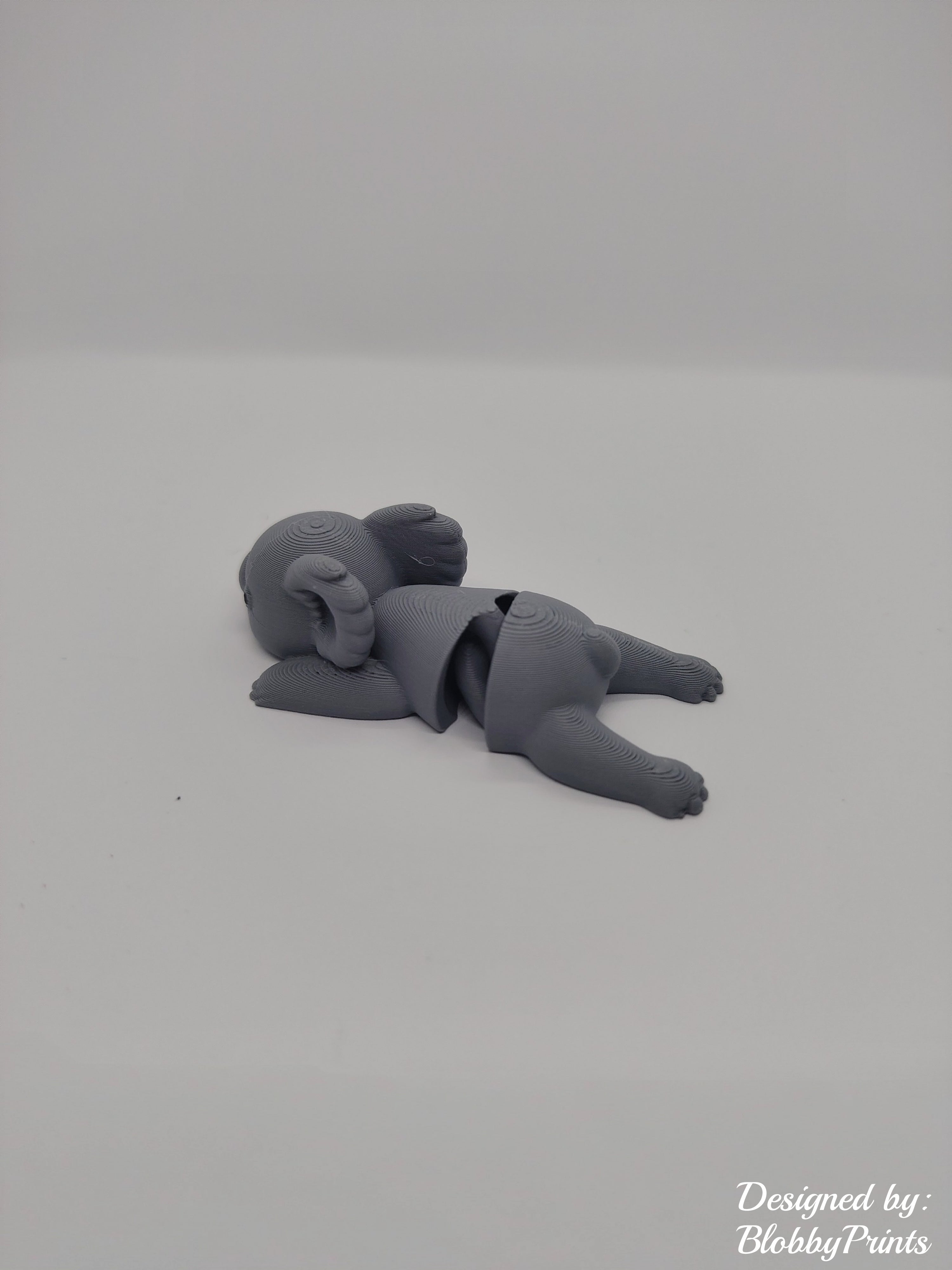 Flexi koala