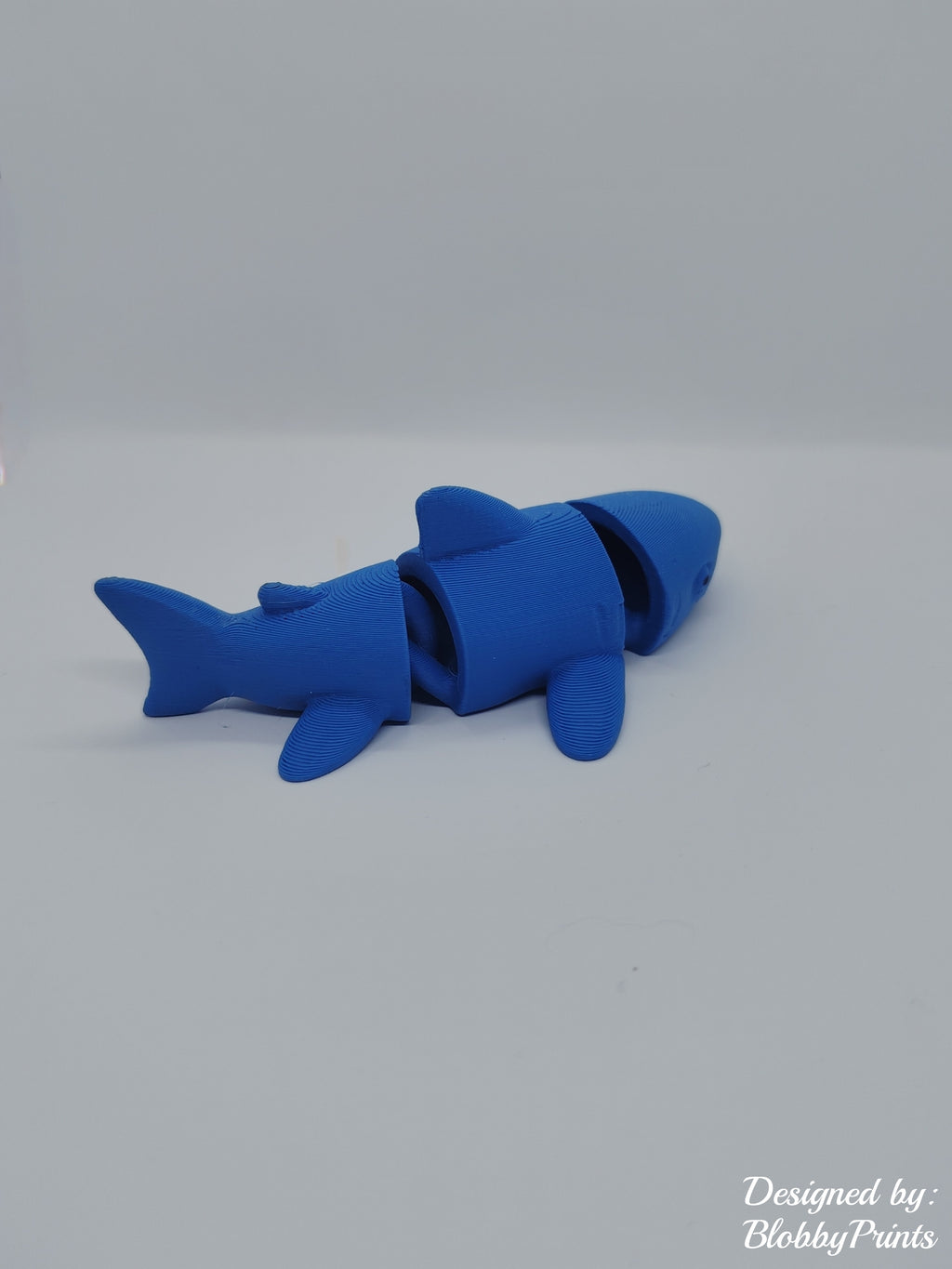 flexi shark