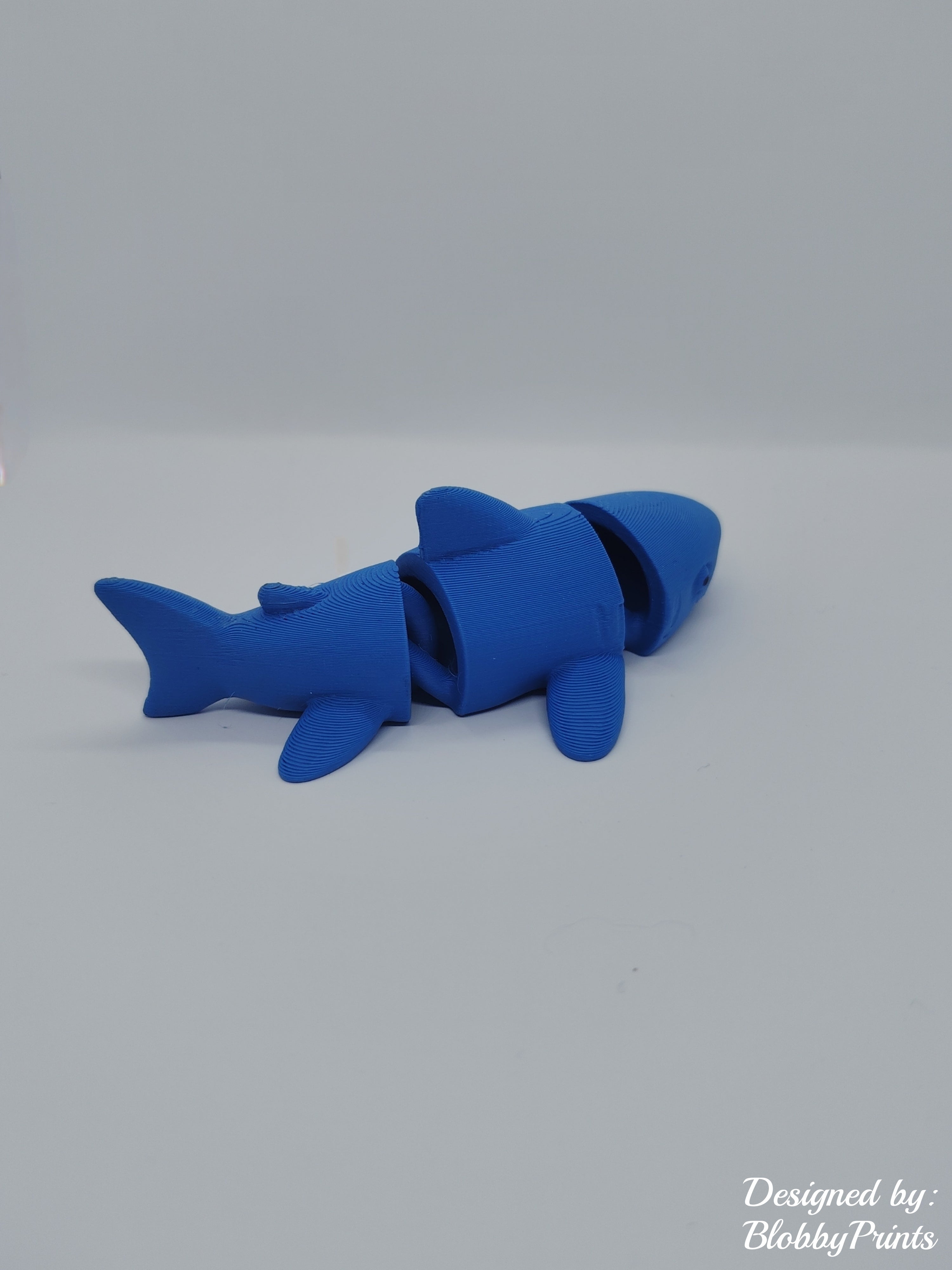flexi shark
