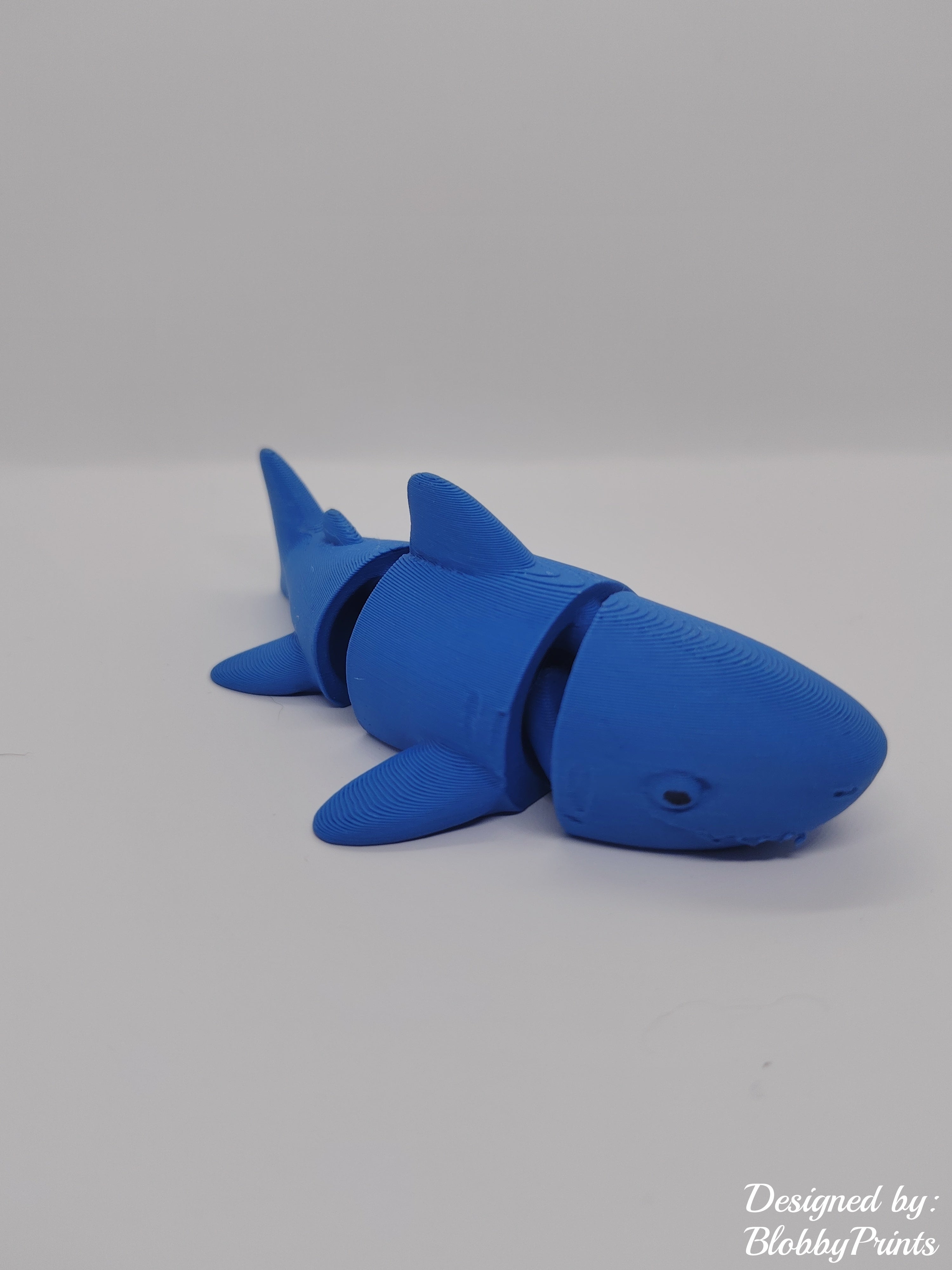 flexi shark
