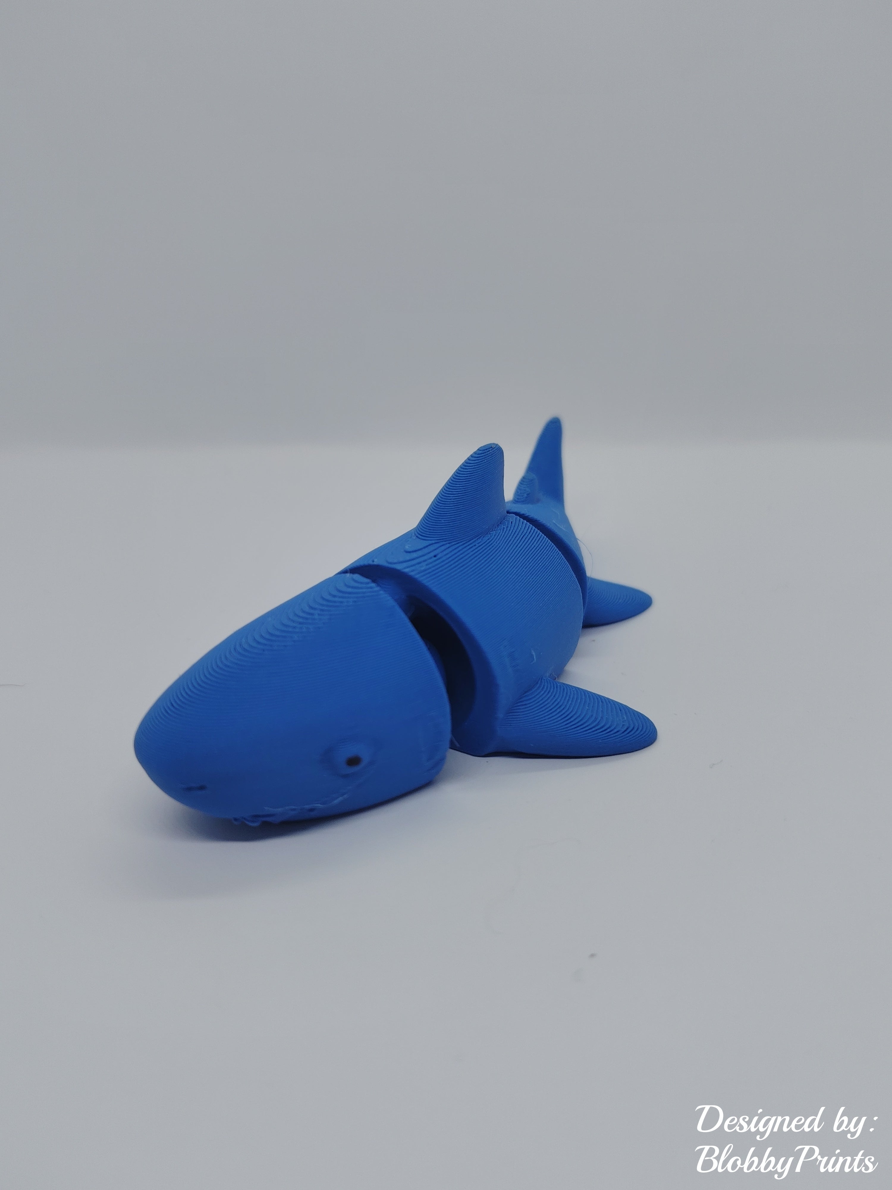flexi shark