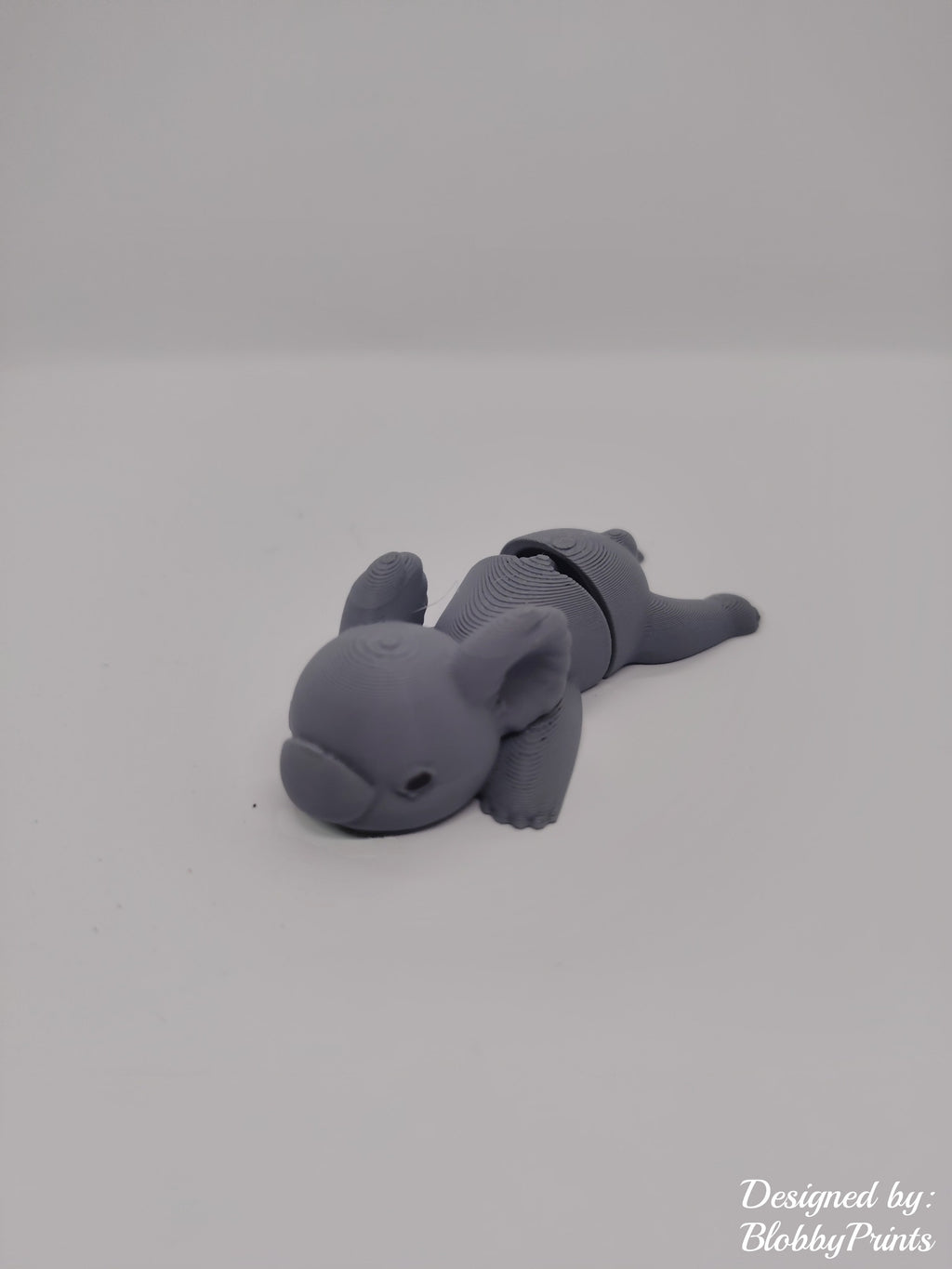Flexi koala