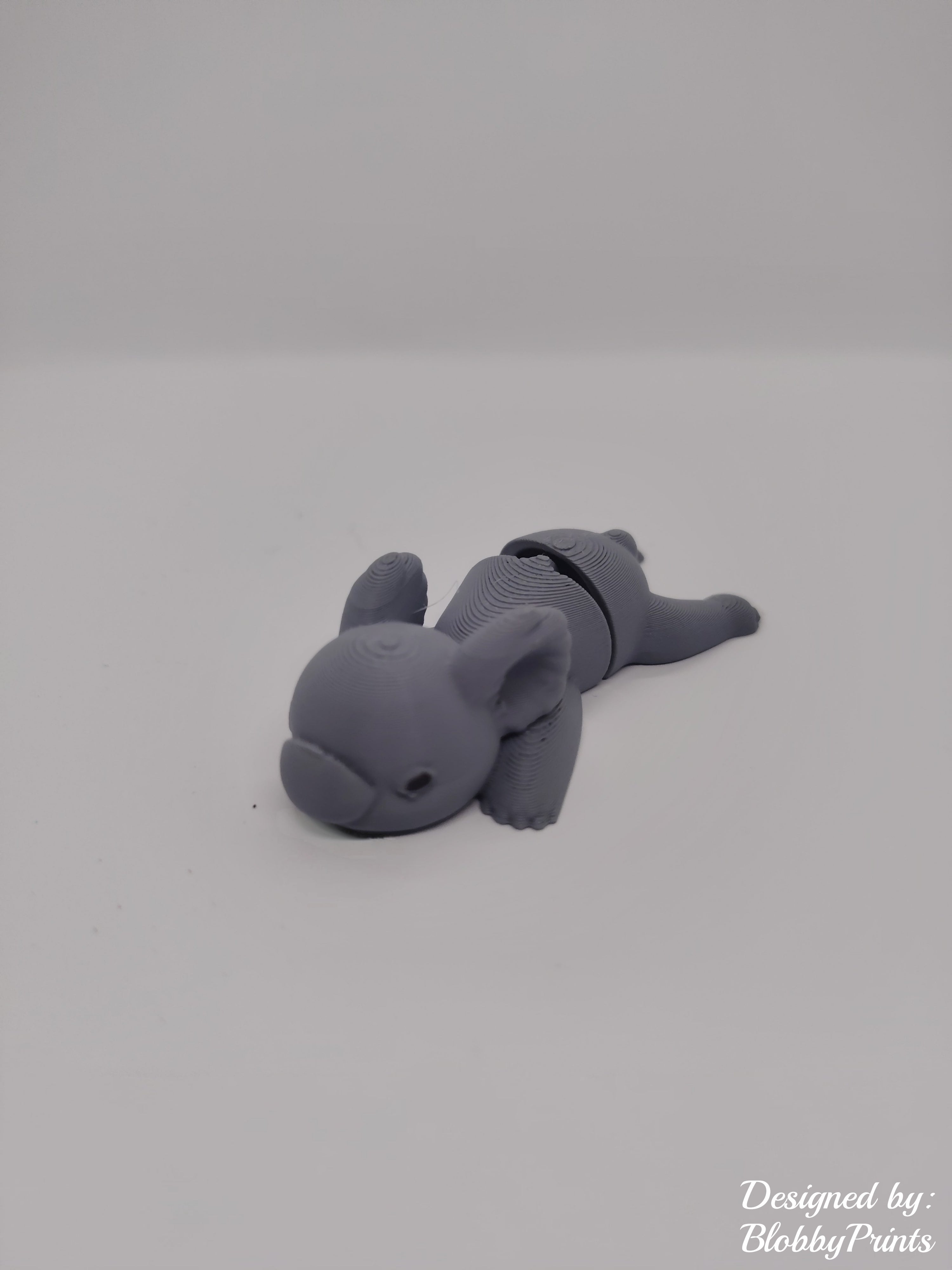 Flexi koala