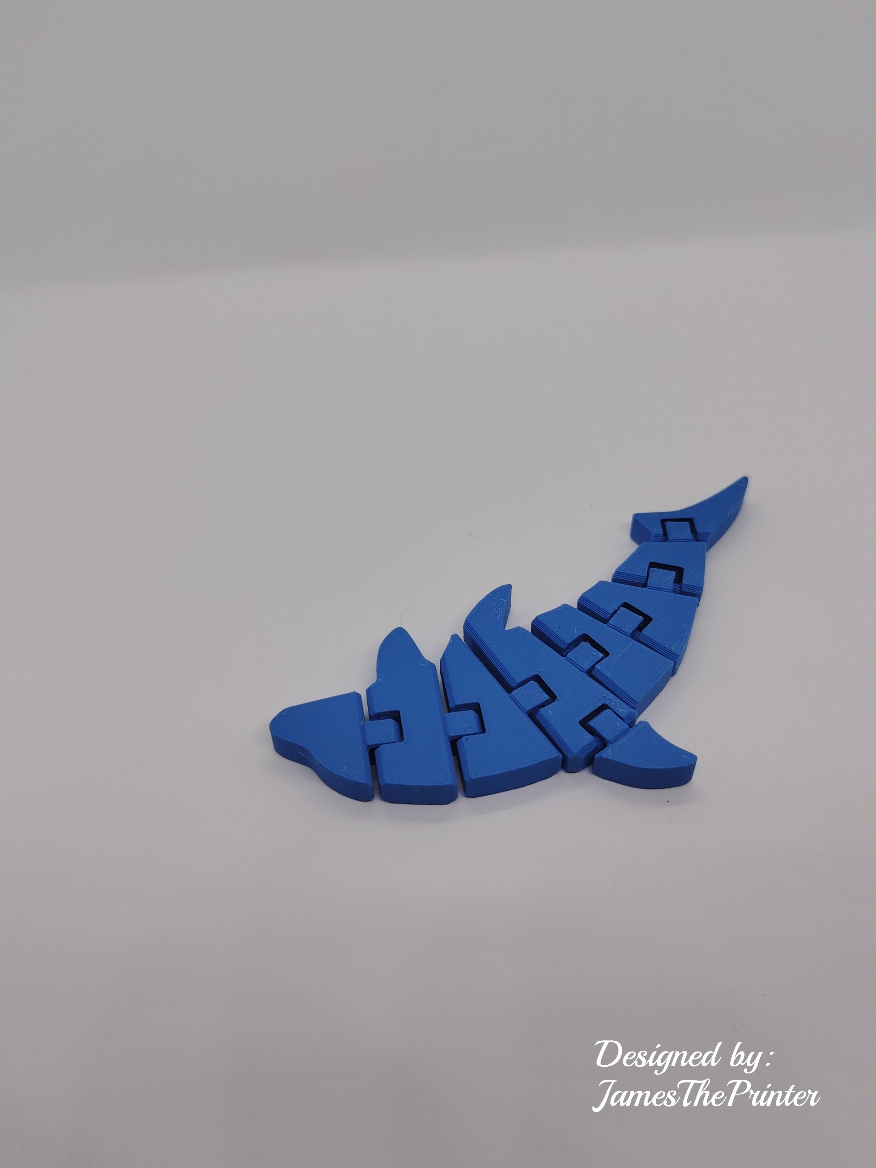 Flexi dolphin