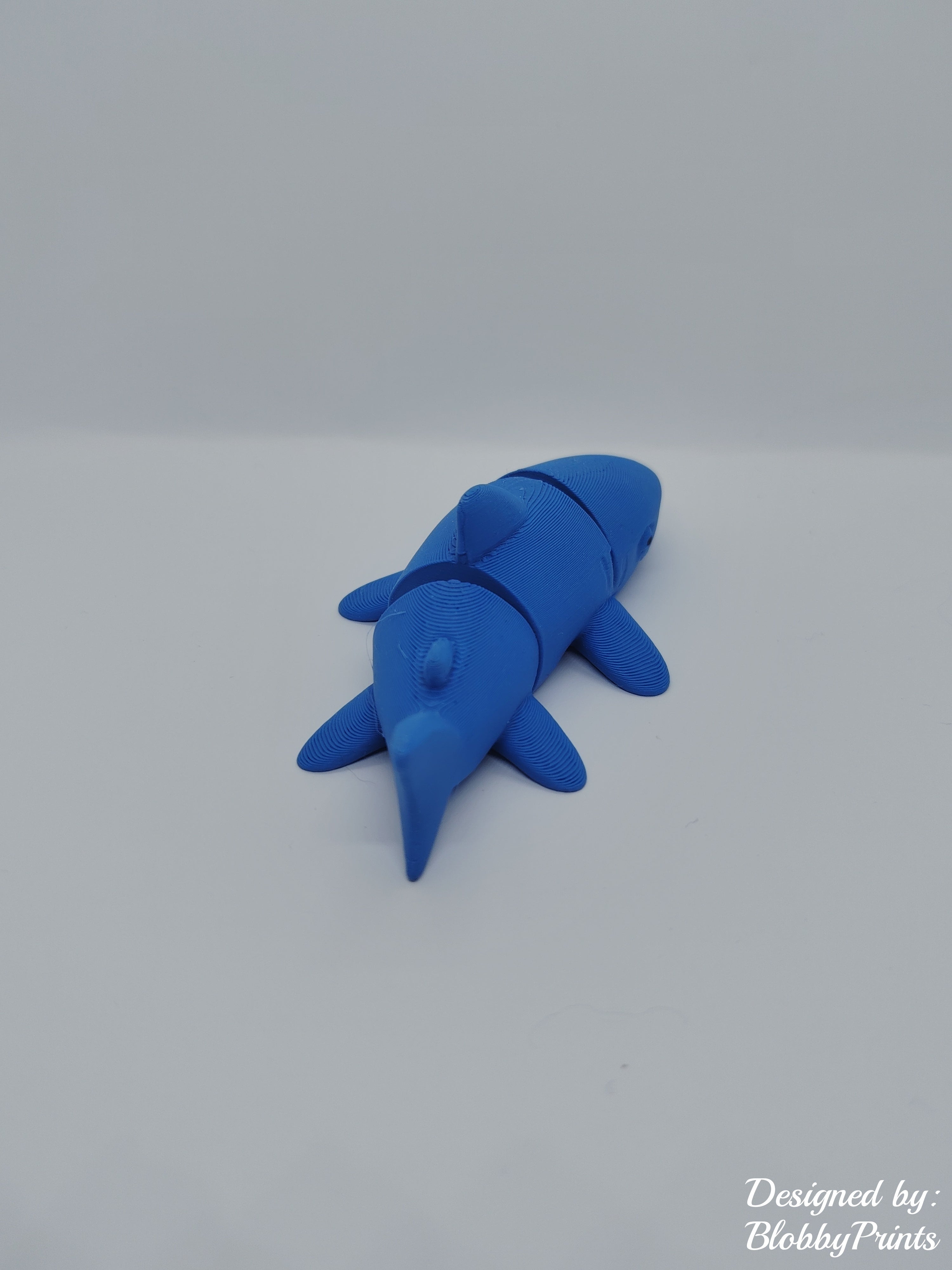 flexi shark